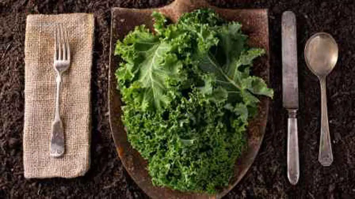 5 Manfaat Sayur Kale yang Baik untuk Kesehatan Tubuh