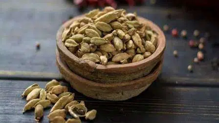 Bukan Hanya Bumbu Dapur, Kapulaga Mempunyai Segudang Manfaat untuk Kesehatan