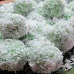 Cara Membuat dan Bahan Klepon Islami Dijamin Halal 100%