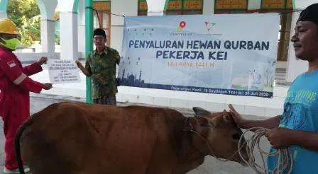 SKK Migas-KEI Ltd Berkurban di Raas, Sapeken dan Sumenep
