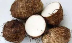 Ketahui Manfaat Talas Bagi Kesehatan Tubuh