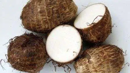 Ketahui Manfaat Talas Bagi Kesehatan Tubuh