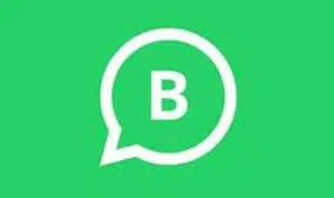 Cara Mudah Tambahkan Teman Dengan Fitur Baru Pada WhatsApp Business