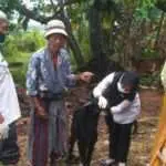 Dinas Peternakan Sumenep Perketat Pengawasan Kesehatan Hewan Kurban