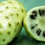 Cara Mengatasi Jerawat dengan Buah Mengkudu