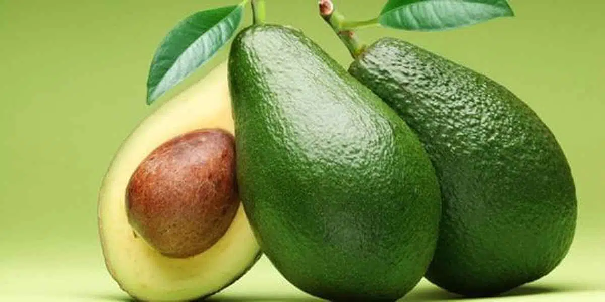 Cara Putihkan Kulit Secara Alami dengan avodak alpukat
