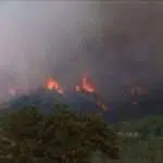 Hampir 200 Hektare Lahan Hutan di Barat Daya Turki Terbakar