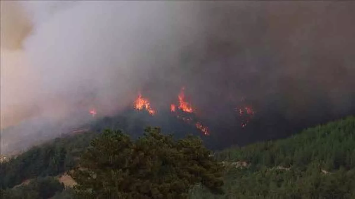 Hampir 200 Hektare Lahan Hutan di Barat Daya Turki Terbakar