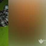 Isu Santet, Diduga Motif Pembunuhan dalam Anjungan KM Jaya Abadi