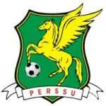 Suporter Perssu Desak Liga 3 Digelar, Dinilai Sumber Kekuatan Liga 2 & Liga 1