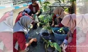 Mahasiswa UMM Lakukan Penanaman Apotek Hidup di Pamekasan