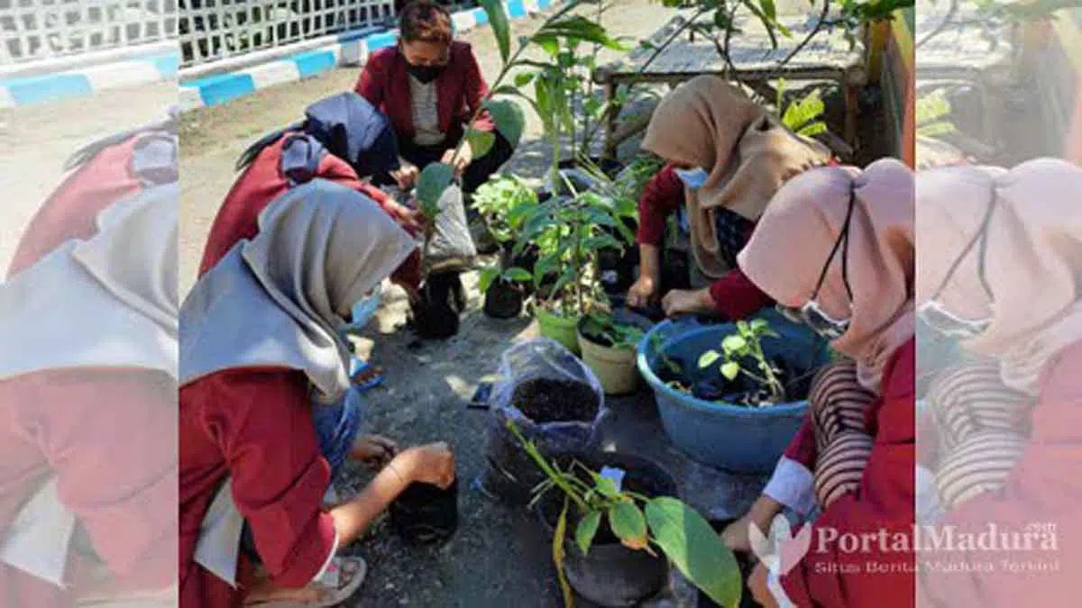 Mahasiswa UMM Lakukan Penanaman Apotek Hidup di Pamekasan