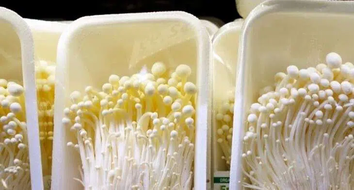 Manfaat Jamur Enoki untuk Kesehatan