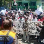 Ayam Potong Luar Madura Masuk Pamekasan, Peternak Demo Pemkab