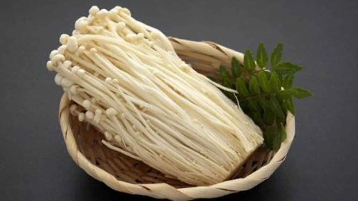 5 Manfaat Jamur Enoki untuk Kesehatan