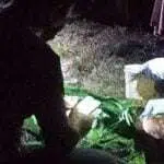 Pengepul Kelapa Muda Ditemukan Tewas, Polisi Sumenep Olah TKP