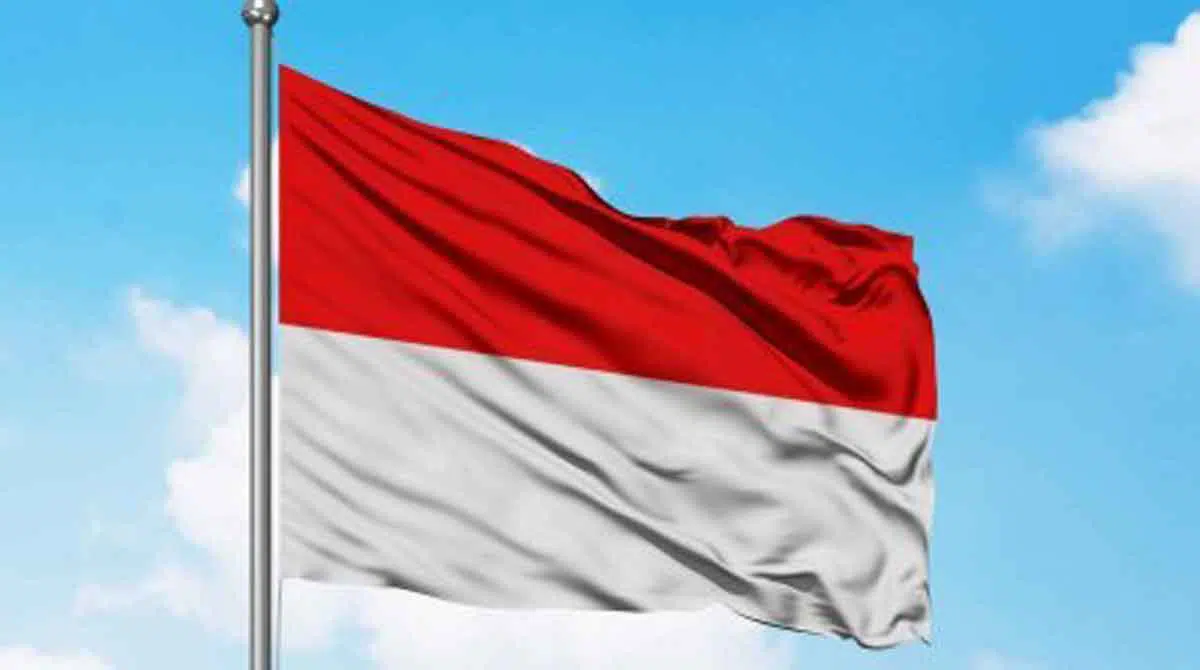 Bendera Merah Putih (Ist)
