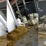 Ada Gudang di Pamekasan Larang Pemantau Tembakau Awasi Pengambilan Sampel