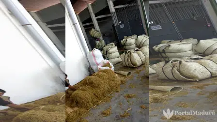 Ada Gudang di Pamekasan Larang Pemantau Tembakau Awasi Pengambilan Sampel
