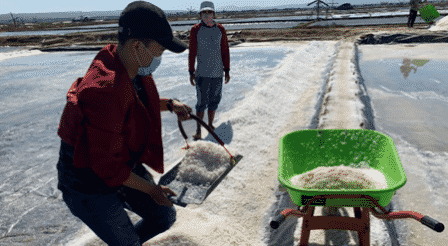 Program Pengabdian Masyarakat oleh Mahasiswa (PMM) Universitas Muhammadiyah Malang (UMM) kelompok 30 Desa Pinggir Papas, Kecamatan Kalianget, Kabupaten Sumenep, Jatim membantu para petani garam, Minggu (20/09/2020).