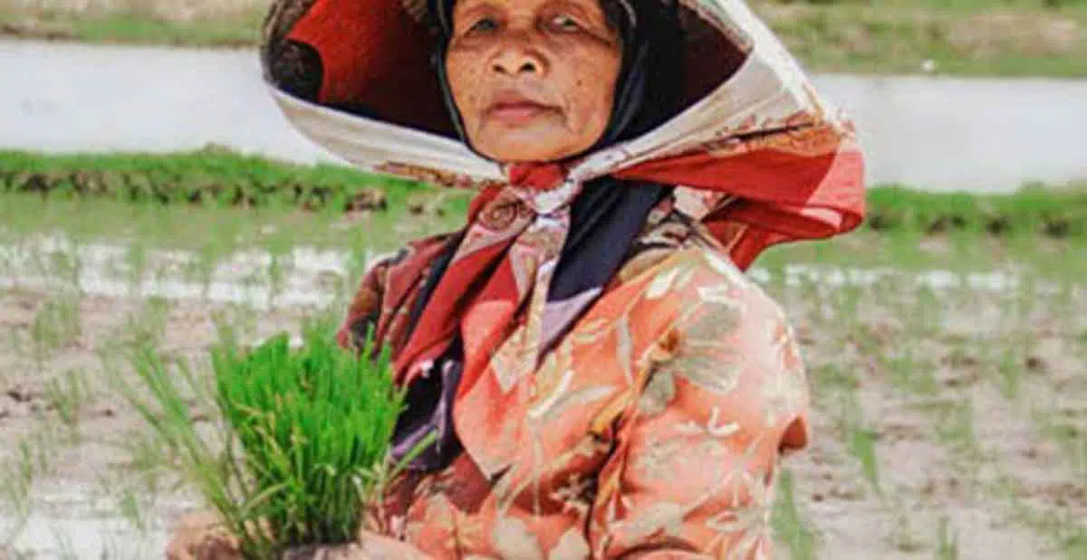 Pendar Tuhan dalam Sukma Petani Madura