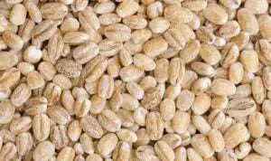 Barley, Biji-bijian yang Memiliki Banyak Manfaat untuk Tubuh