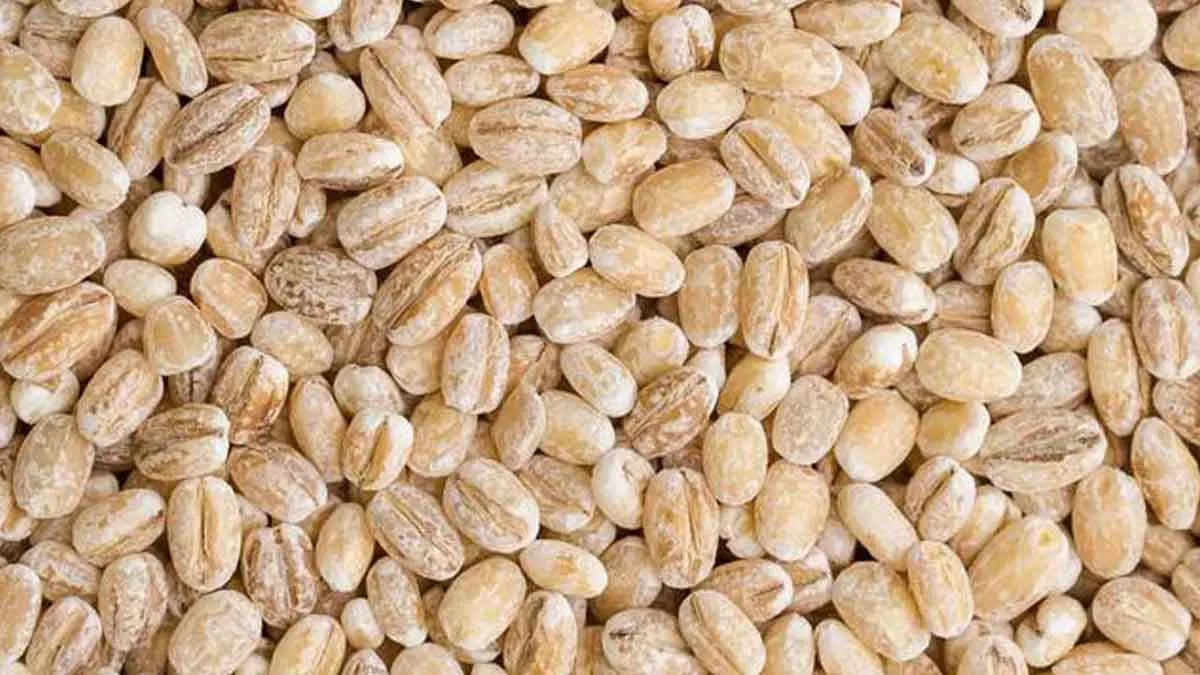 Barley, Biji-bijian yang Memiliki Banyak Manfaat untuk Tubuh