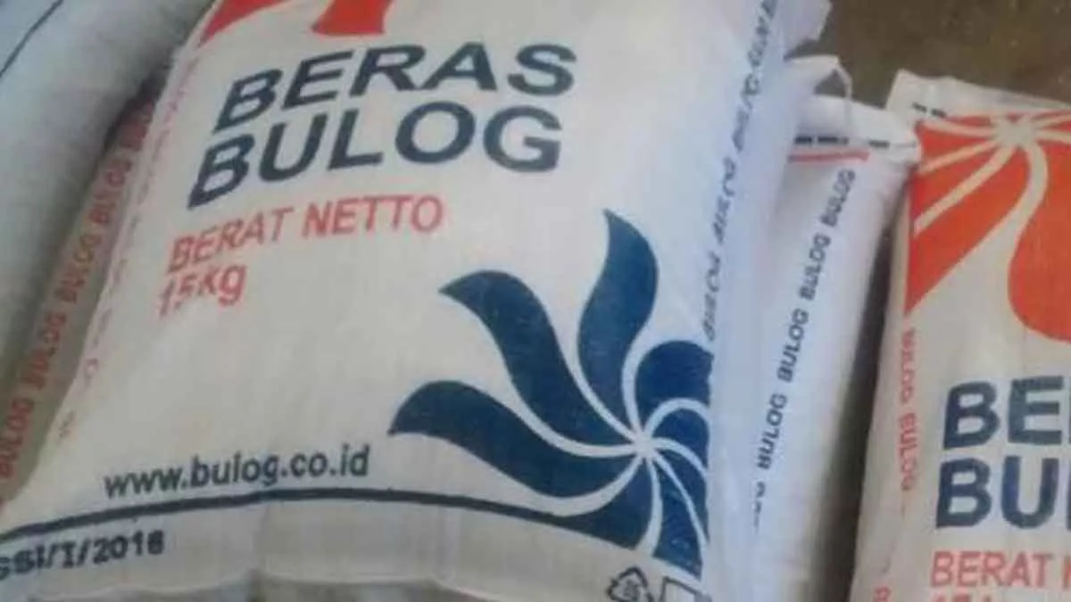 Beras Bantuan Sosial Di Gudang Bulog Sampang Raib - Portalmadura.com Beras Bantuan Sosial di Gudang Bulog Sampang Raib