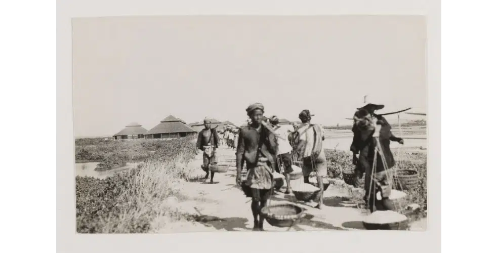 Foto- Aktivitas Produksi Garam Tahun 1930-An Di Sumenep - Portalmadura.com FOTO- Aktivitas Produksi Garam Tahun 1930-an di Sumenep