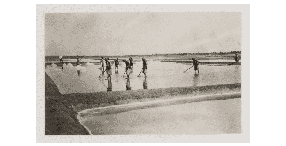 FOTO- Aktivitas Produksi Garam Tahun 1930-an di Sumenep 5 Garam dikikis bersama menjadi beberapa tumpukan