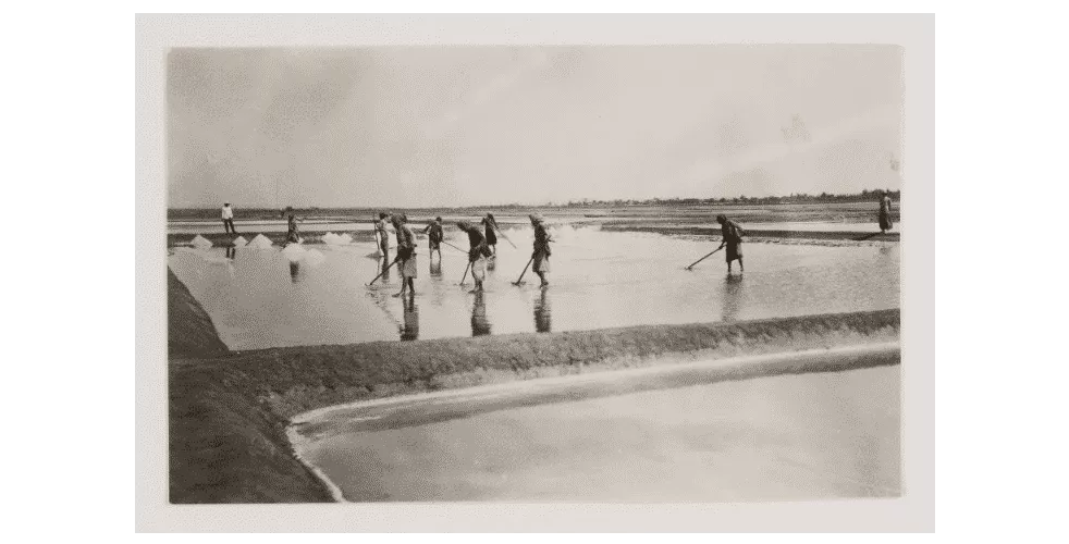 Foto- Aktivitas Produksi Garam Tahun 1930-An Di Sumenep - Portalmadura.com FOTO- Aktivitas Produksi Garam Tahun 1930-an di Sumenep