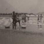 FOTO- Aktivitas Produksi Garam Tahun 1930-an di Sumenep