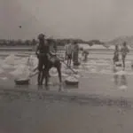 FOTO- Aktivitas Produksi Garam Tahun 1930-an di Sumenep