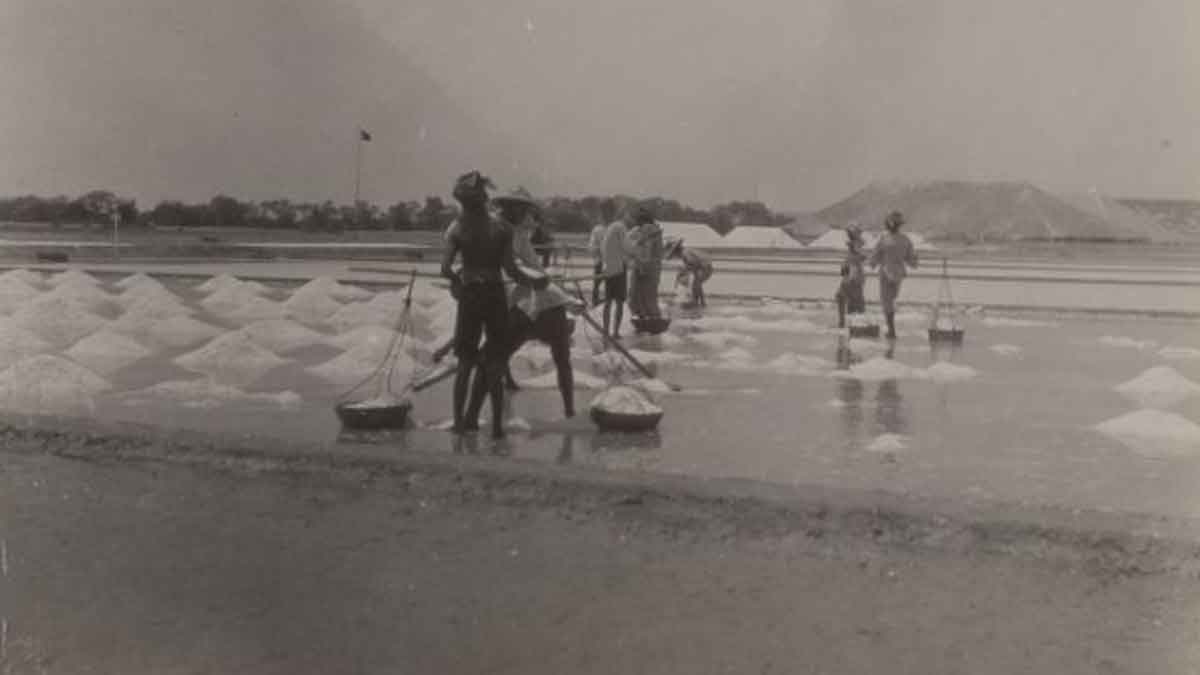 FOTO- Aktivitas Produksi Garam Tahun 1930-an di Sumenep