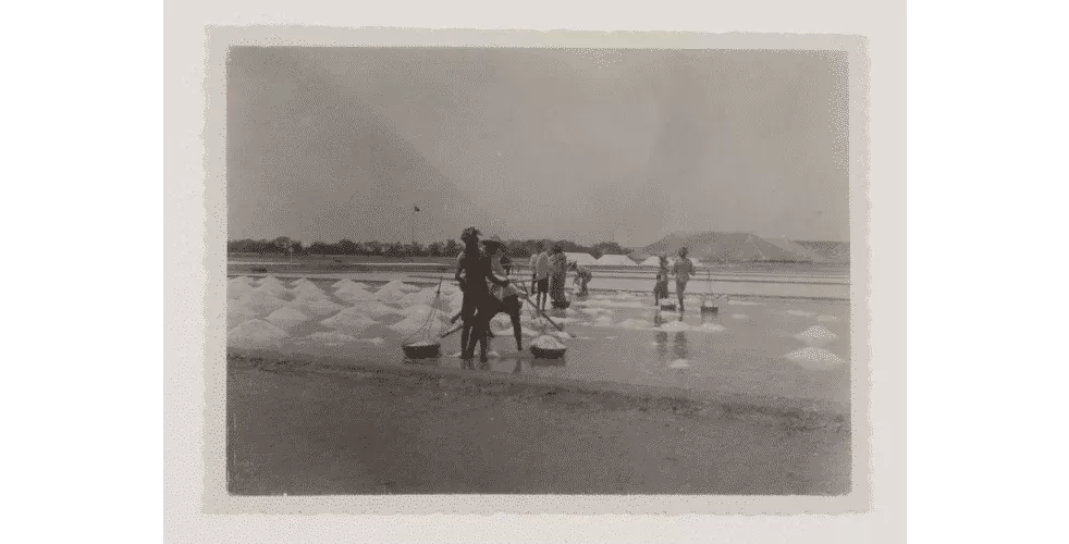 Foto- Aktivitas Produksi Garam Tahun 1930-An Di Sumenep - Portalmadura.com FOTO- Aktivitas Produksi Garam Tahun 1930-an di Sumenep