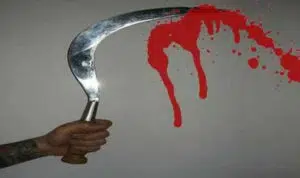 Pembacokan, Satu Tewas di Sampang