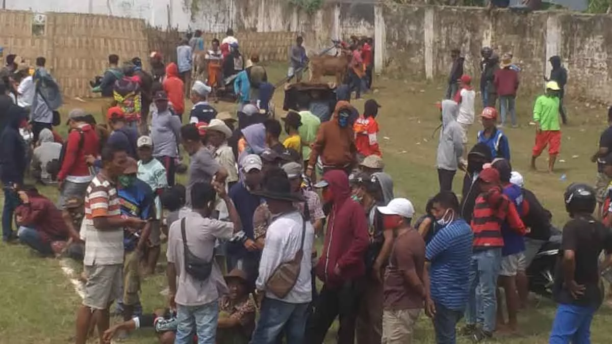 Jelang Piala Presiden, Karapan Sapi di Sumenep Dibubarkan