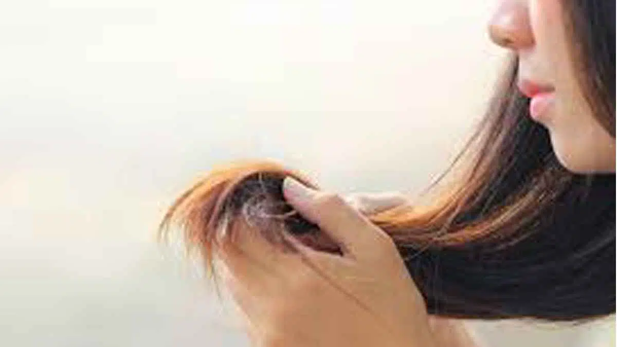 Tak Perlu Dipotong, Ini 6 Cara Atasi Rambut Bercabang