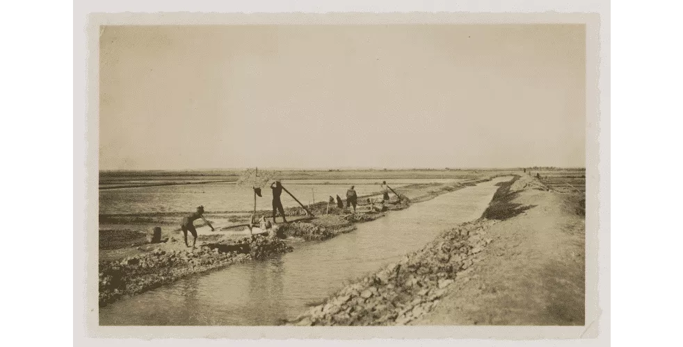 Foto- Aktivitas Produksi Garam Tahun 1930-An Di Sumenep - Portalmadura.com FOTO- Aktivitas Produksi Garam Tahun 1930-an di Sumenep