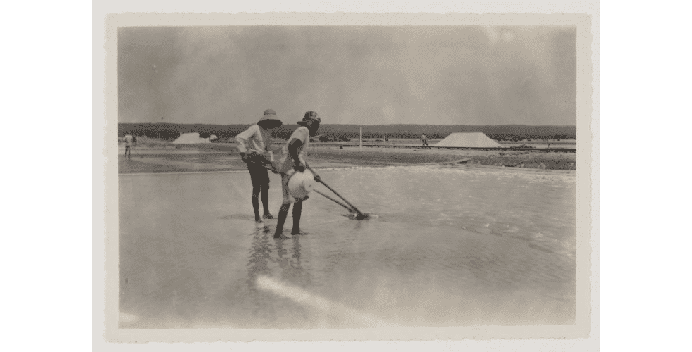 FOTO- Aktivitas Produksi Garam Tahun 1930-an di Sumenep 12 Mengikis kerak garam setelah mata mengkristal