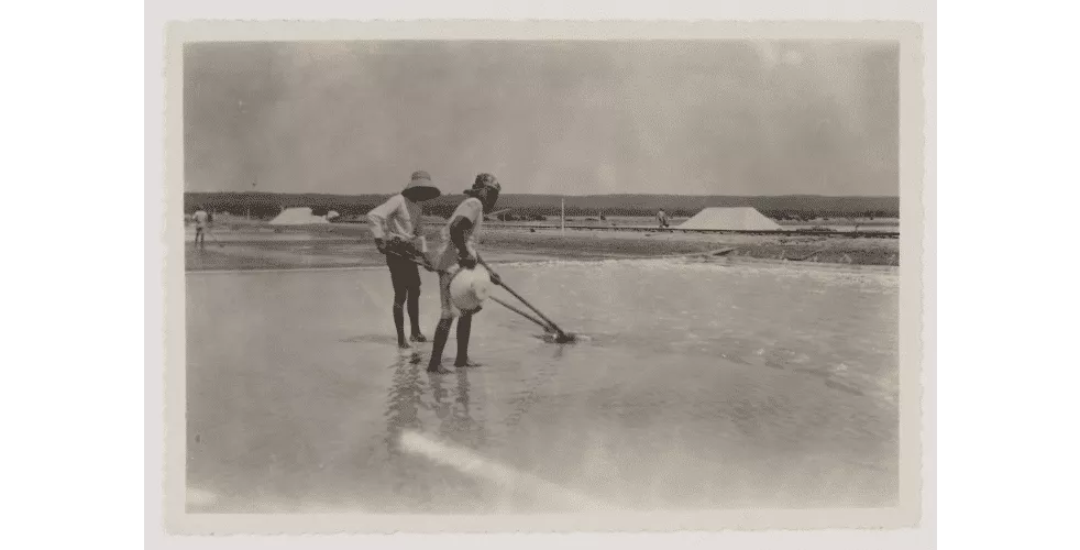 Foto- Aktivitas Produksi Garam Tahun 1930-An Di Sumenep - Portalmadura.com FOTO- Aktivitas Produksi Garam Tahun 1930-an di Sumenep