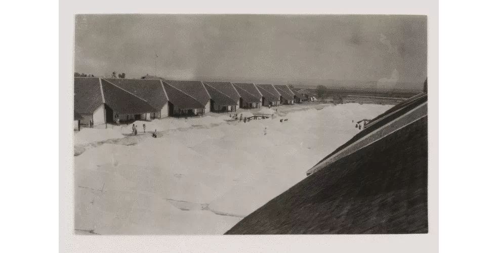 Foto- Aktivitas Produksi Garam Tahun 1930-An Di Sumenep - Portalmadura.com FOTO- Aktivitas Produksi Garam Tahun 1930-an di Sumenep