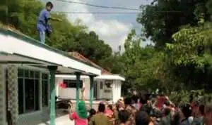 Rayakan Maulid Nabi, Tradisi Tabur Uang Hingga Rebutan Buah di Bangkalan