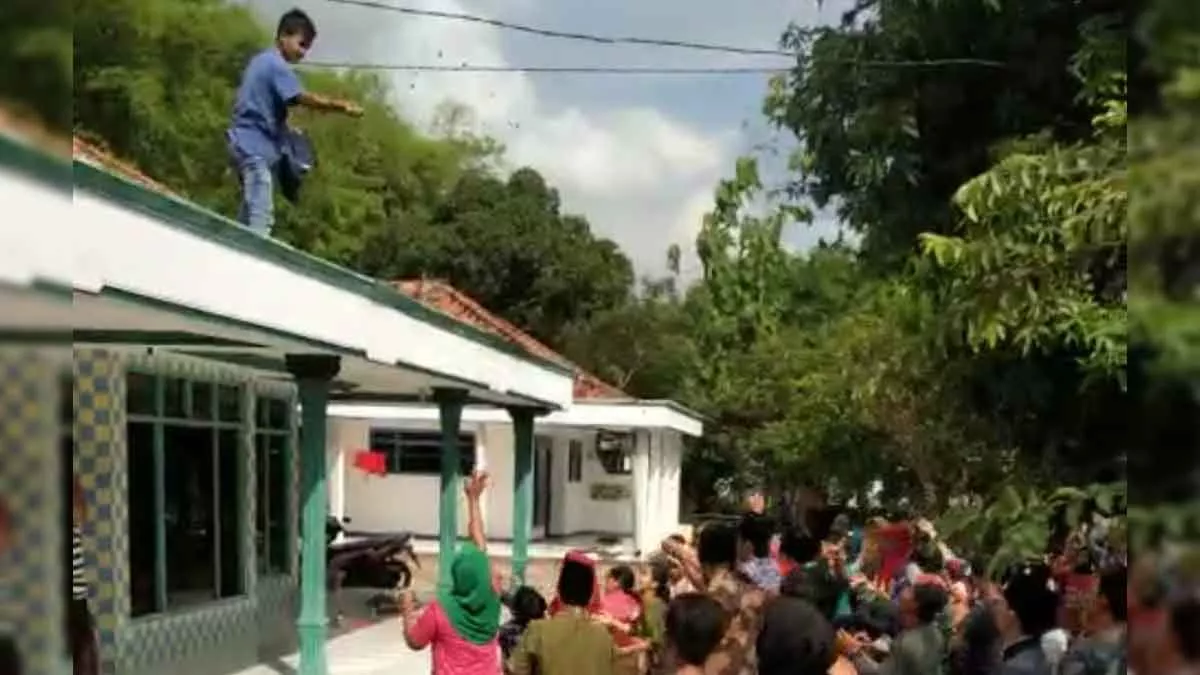 Rayakan Maulid Nabi, Tradisi Tabur Uang Hingga Rebutan Buah di Bangkalan