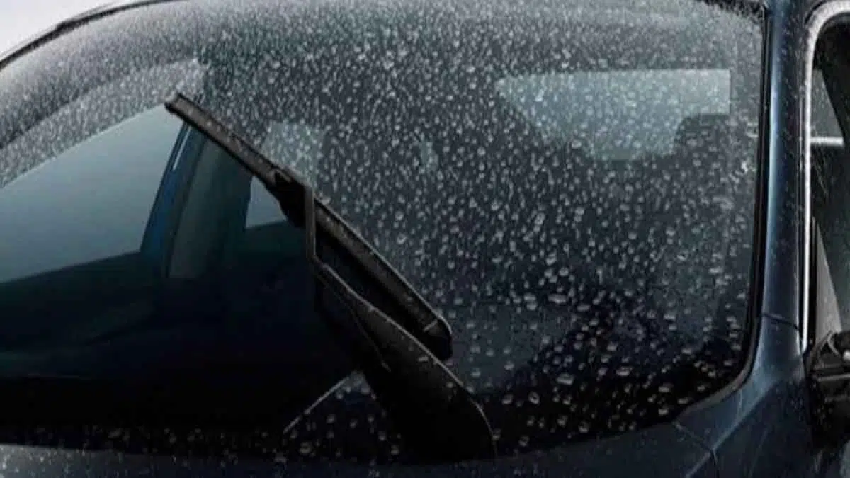 Cara Atasi Jamur Kaca Mobil Saat Musim Hujan