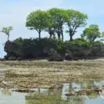 Candin, Panorama Cantik Pulau Mandangin Sampang