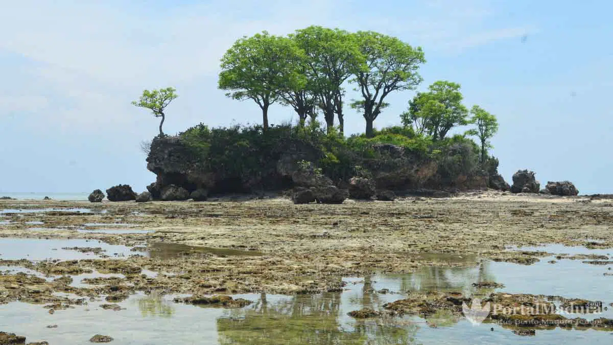 Candin, Panorama Cantik Pulau Mandangin Sampang