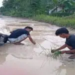 Jalan Penghubung Kecamatan Gegger dan Sepuluh Dibiarkan Rusak