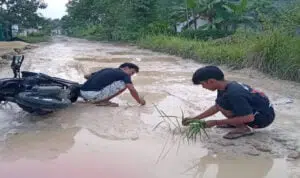Jalan Penghubung Kecamatan Gegger dan Sepuluh Dibiarkan Rusak