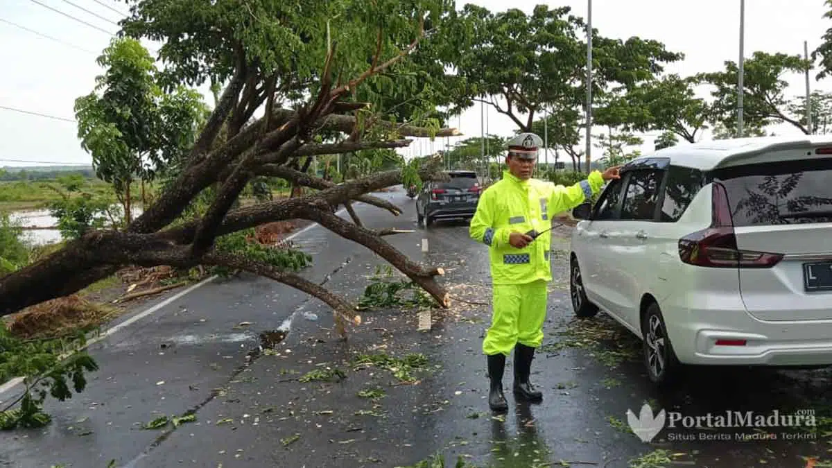 Pepohonan Tumbang Ganggu Akses Suramadu sisi Madura